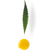 icon-2