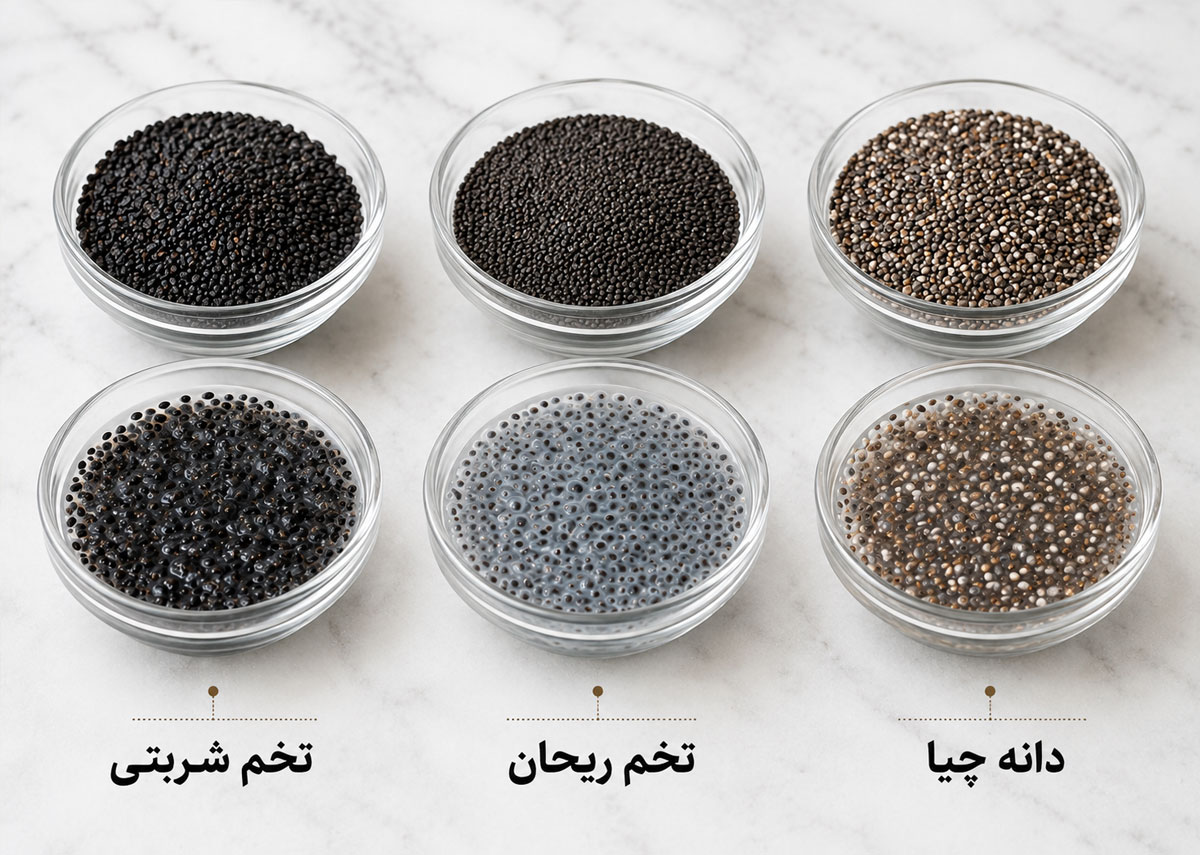 مقایسه تخم شربتی، تخم ریحان و دانه چیا